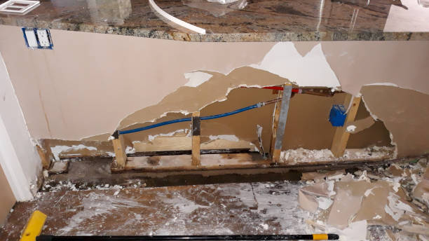 Best Water damage restoration near me  in Farmville, VA