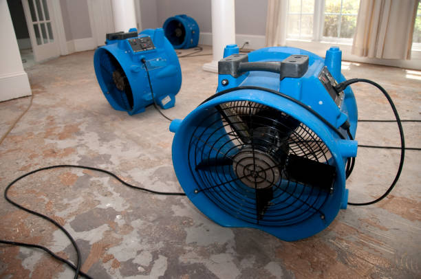 Reliable Farmville, VA Water damage restoration Solutions