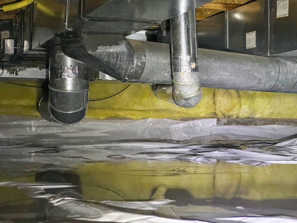 Best Water damage repair service  in Farmville, VA